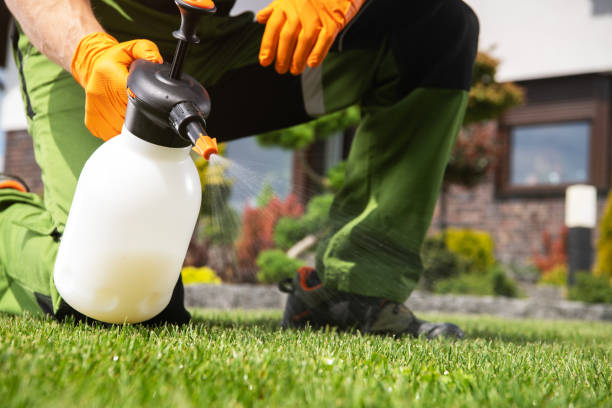 Best Insect Control  in South Bloomfield, OH