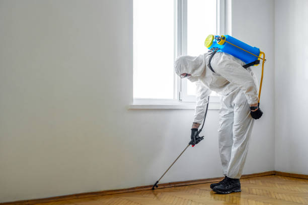 Best Bed Bug Extermination  in South Bloomfield, OH