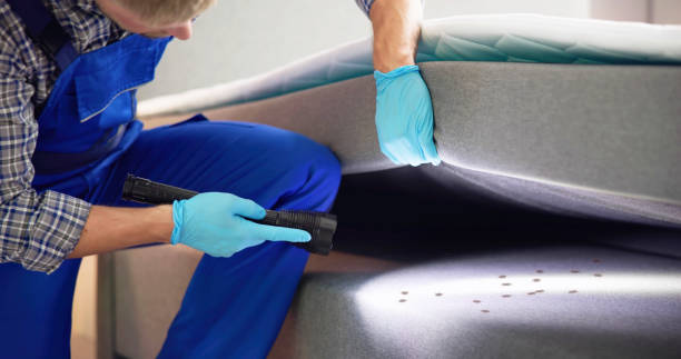 Best Affordable Pest Control Services  in South Bloomfield, OH