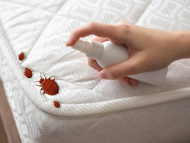 Best Residential Pest Control  in South Bloomfield, OH