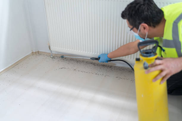 Best Termite Control Services  in South Bloomfield, OH
